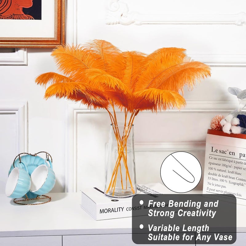 Holmgren Orange Ostrich Feathers Bulk - 20pcs Making Kit 22 Inch Ostrich Feathers for Vase, Floral Arrangement, Wedding Party Centerpieces and Halloween Home Decor (Orange) - Image 2